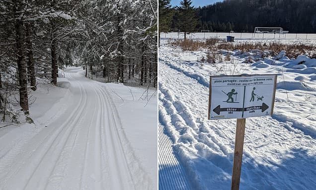 Four-Year-Old Dies After Freak Snow Accident in Quebec