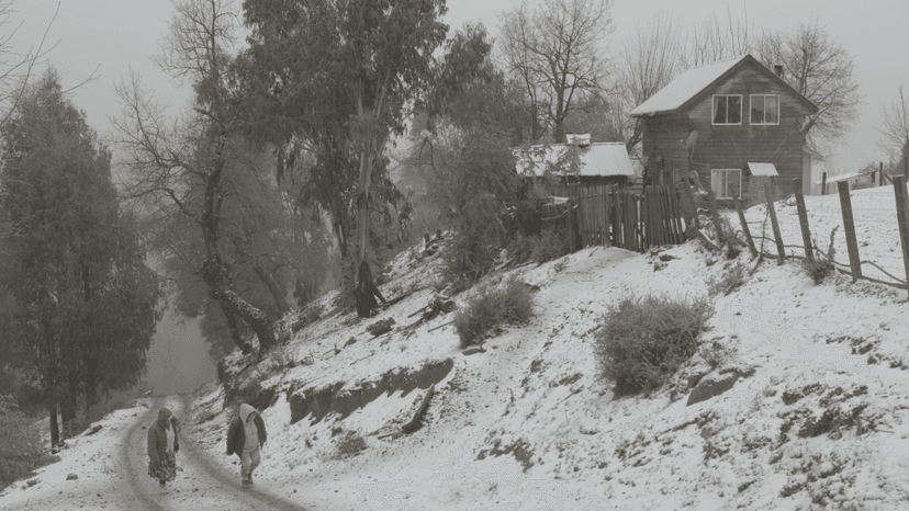 Sanfic Festival Showcases Diverse Chilean Films Amidst Uncertainty