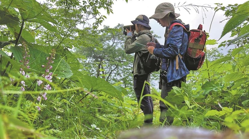 China's Bird Survey Faces Volunteer Shortage