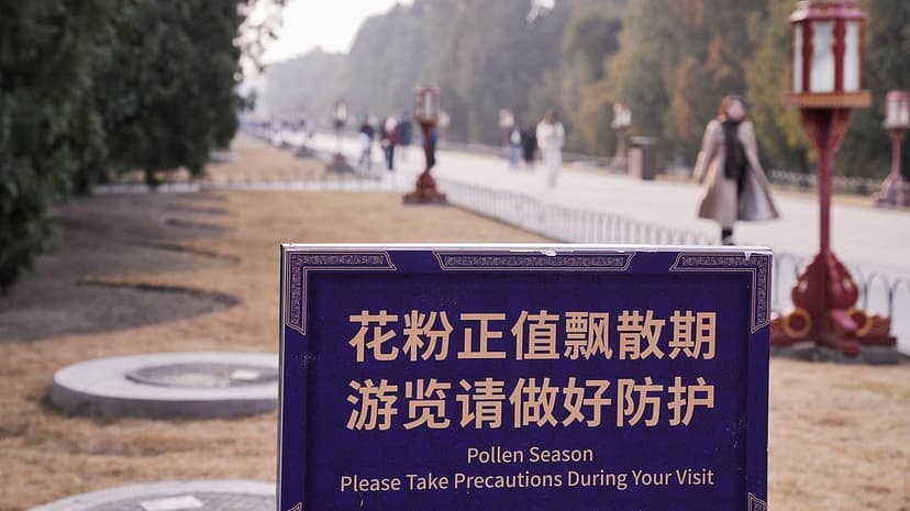 China Launches National Pollen Forecast for Allergy Sufferers