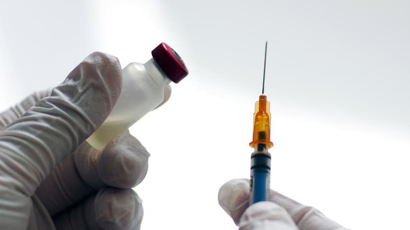 China Confirms No Nipah Virus Human Cases