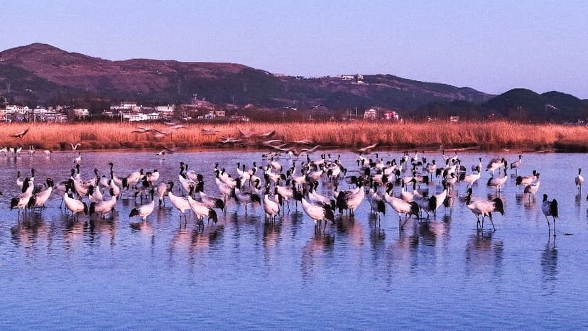 China Strengthens Nature Reserve Protection Laws