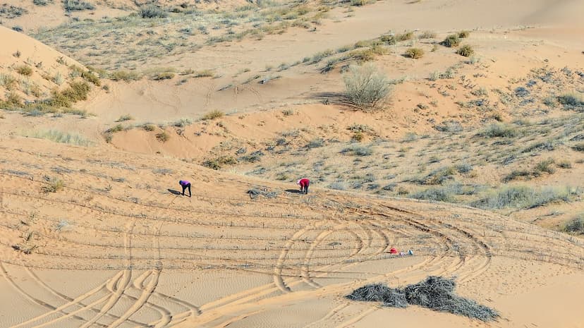 China's Desert Blooms: Drones & Tech Fight Sand