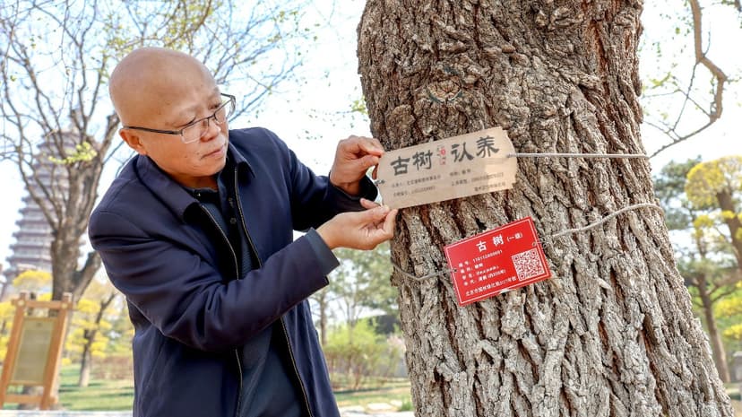 Hands-On Conservation Sweeps China