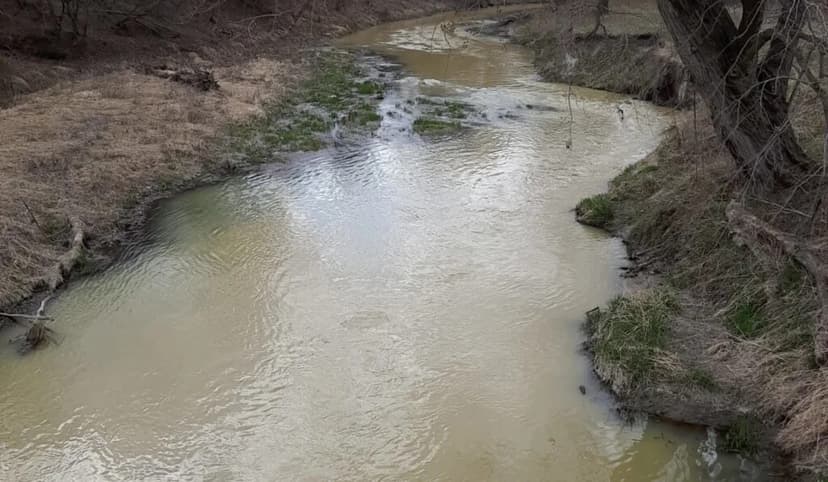 CJ Bio Fined $90K for Deadly Fish Kill