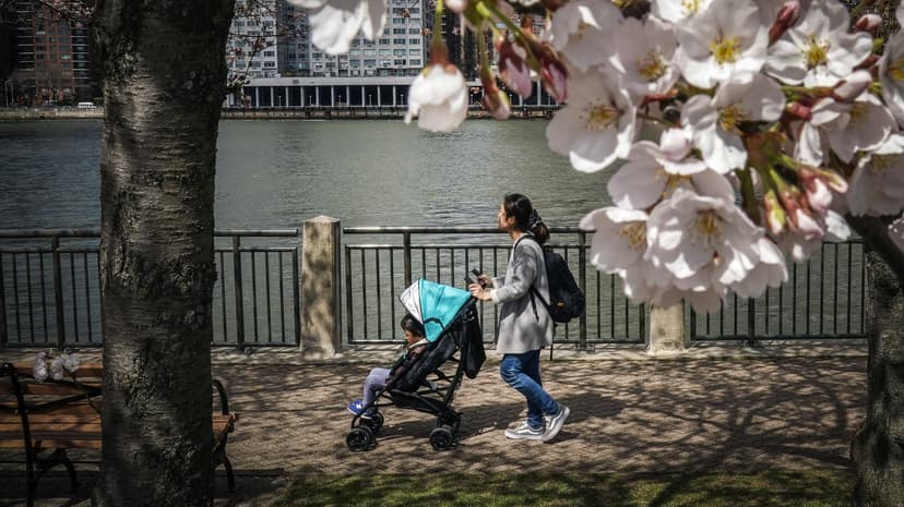 Cleaner Air Boosts Toddler Smarts in NYC