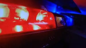 Fleeing Driver Crashes, Arrested After Chase