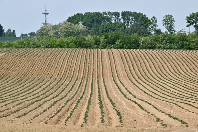 Global Food Crisis Looms: Climate Change Worsens Supply