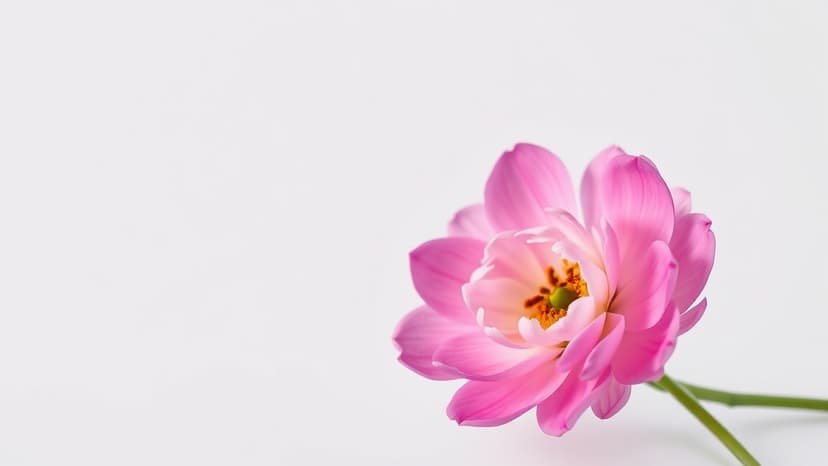 Climate Fiction Prize Shortlist Revealed