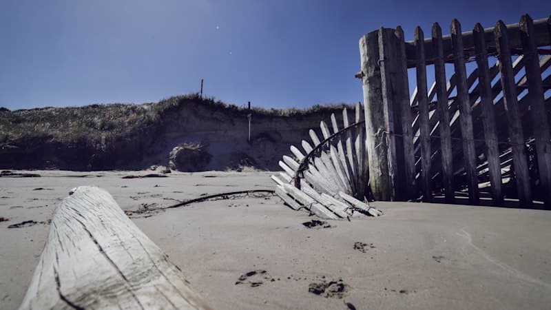Human Intervention Stabilizes Eroding Beaches