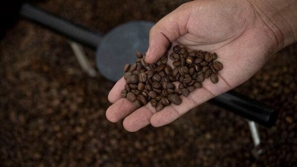 Chicory Coffee Labeling Moves Front & Center