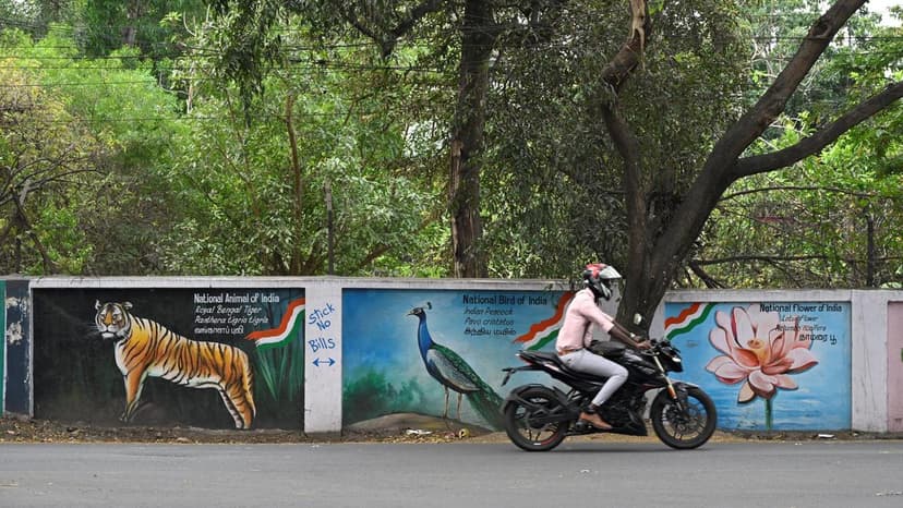 Coimbatore Walls Bloom with Art: Flora and Fauna Showcase