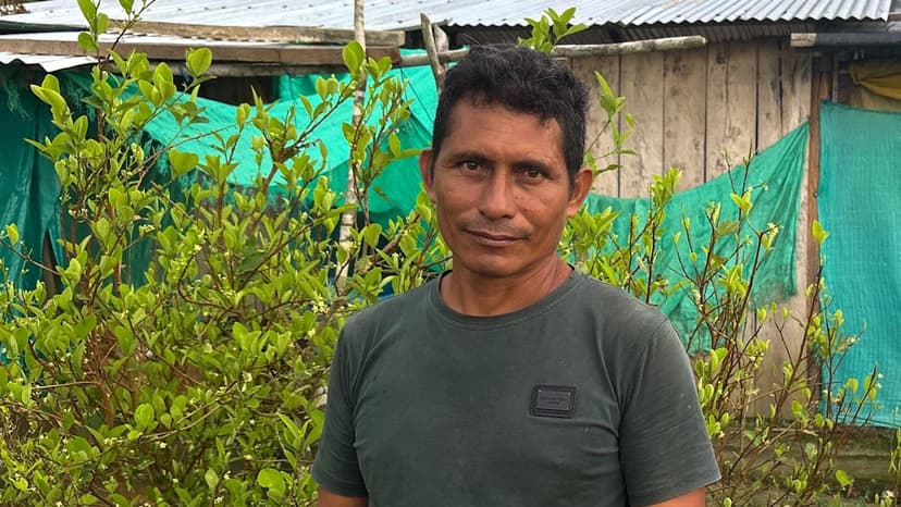 Colombia's Coca Comeback: Aid Fails Farmers