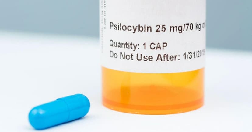 Colorado Rushes Psychedelic Therapy Access