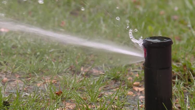 Colorado Lawn Watering Urged to Wait Despite Warm March