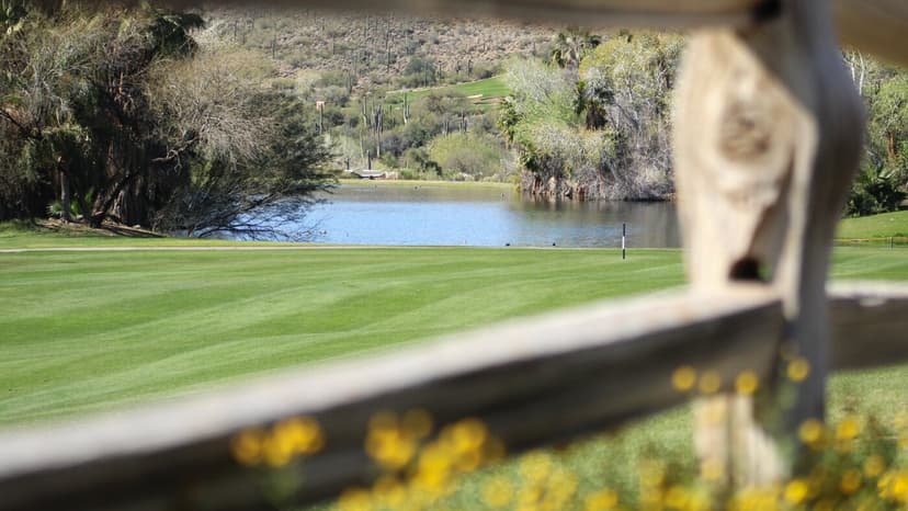 Colorado River Shrinks: Arizona Towns Face Water Crisis