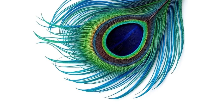 Comcast Fined $1.5M Over Vendor Data Breach