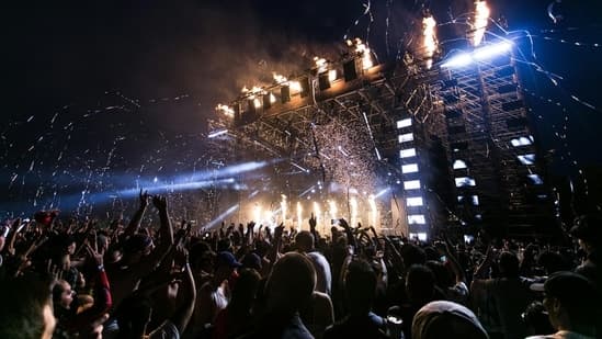 Concert Noise Can Cause Permanent Hearing Loss