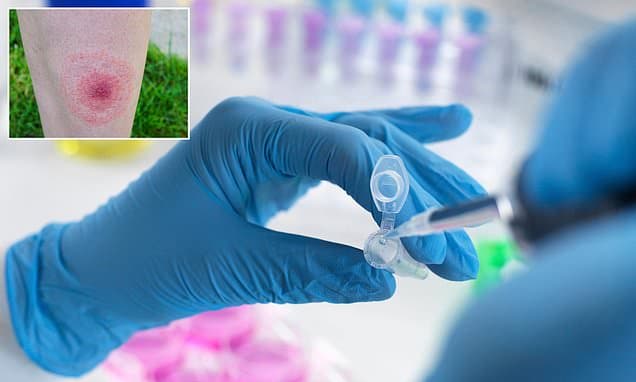 Congress Demands Answers on US Military Tick Weapon Probe