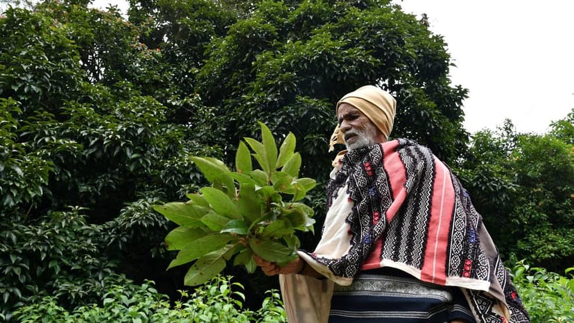 Conservation's Dark Past: Rhino Horn Murder Cover-Up