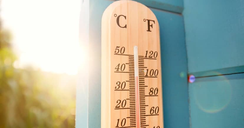 Cook County Heat Claims Six Lives in Early July