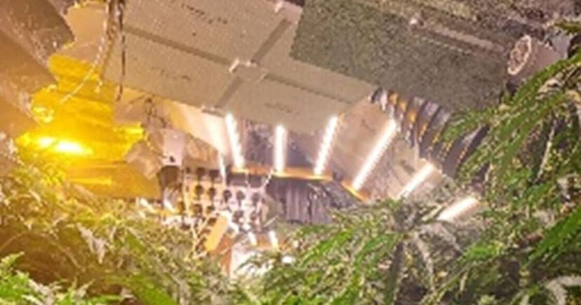 84 Arrested in National County Lines Crackdown