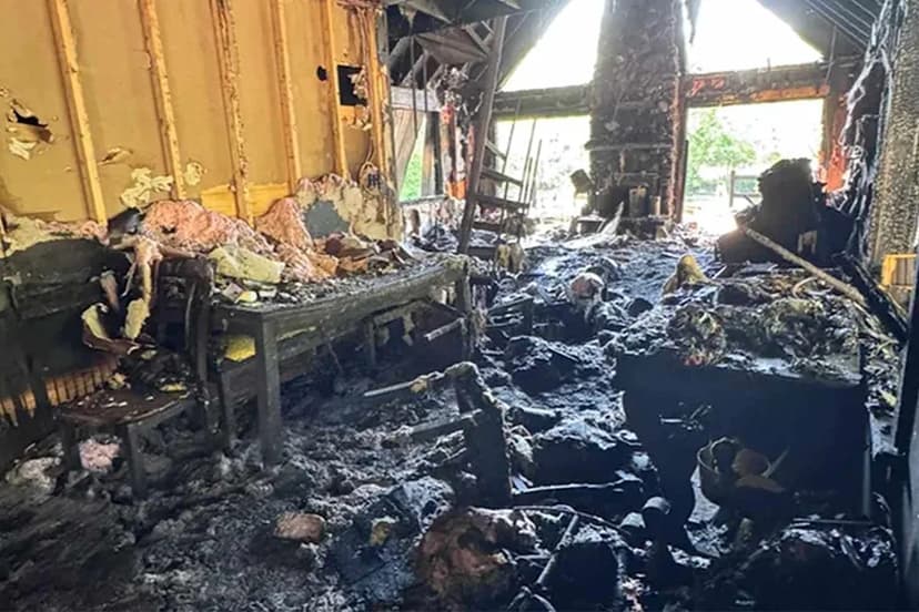 Couple loses home, dogs while at daughter's wedding