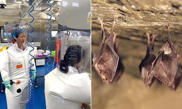 New Research: COVID-19 Not From Lab, Say Scientists