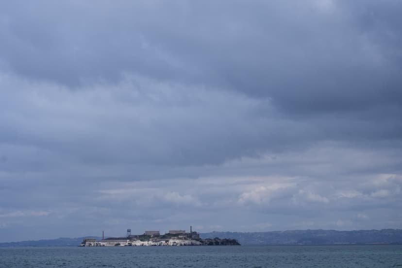 Coyote's Daring Alcatraz Swim: A Lone Survivor's Tale