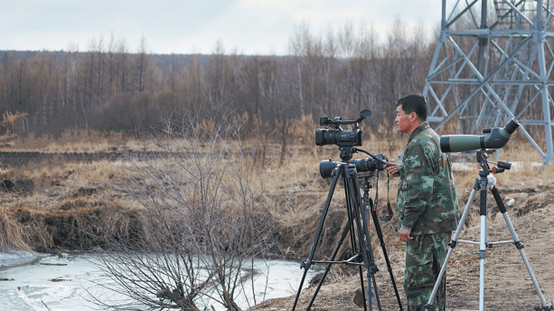 Crane Dad's 20-Year Dedication to Wetland Conservation