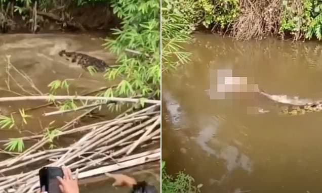 Enraged Locals Shoot Crocodile After Attack