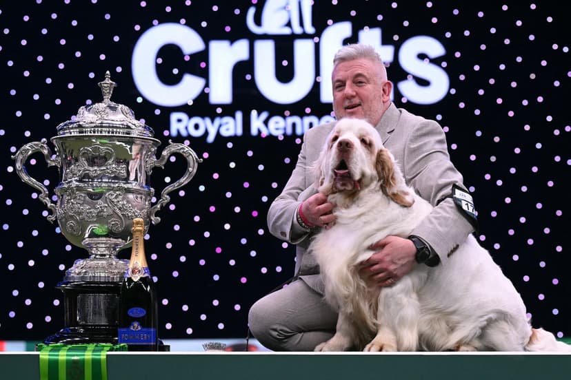 Crufts Champion Handled by Convicted Animal Abuser