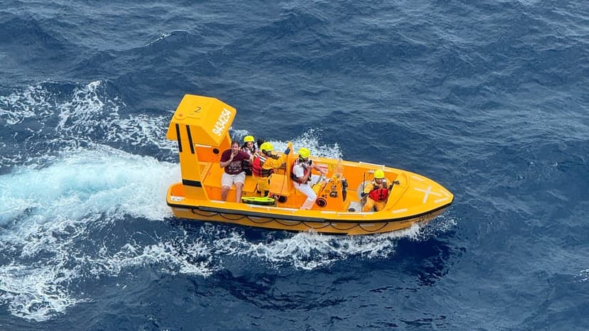 Father Leaps into Sea to Save Daughter from Cruise Ship