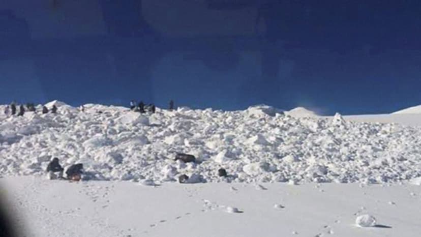 Cryosphere Scientists Offer Glimmer of Hope Amid Rapid Ice Loss