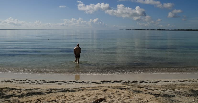 Cuba's Eco-Tourism Ghost Towns: Power Cuts Cripple Zapata Swamp