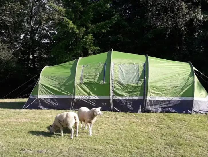 Cumbria's Caldbeck Camping Crowned UK's Best Budget Getaway