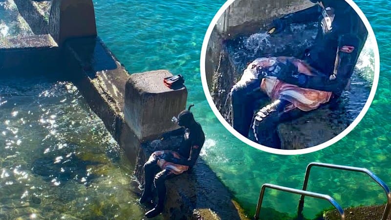 Spearfisher Stuns Beachgoers with Giant Cuttlefish Catch