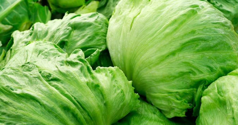Lettuce Linked to Major Cyclospora Outbreak