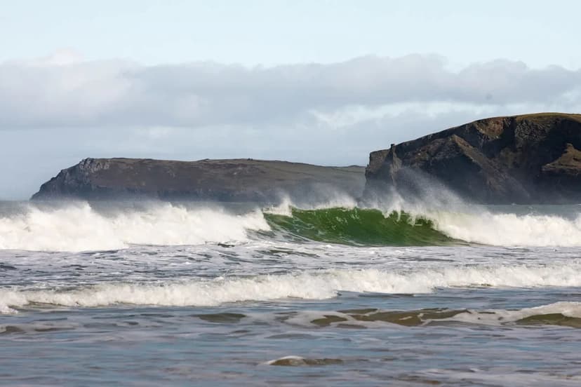 Rare Deep-Sea Fish Spotted Off Cornwall Coast, Sparking Climate Change Concerns
