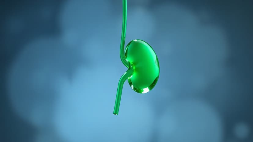 Dad's Kidney Saves Son After COVID Delays