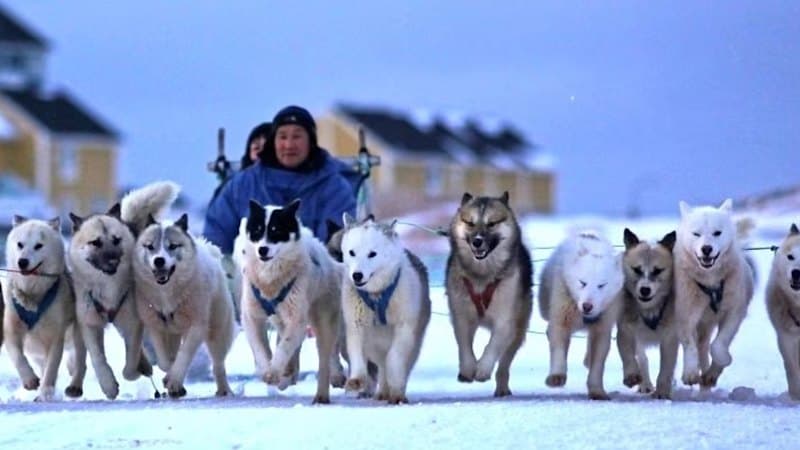 Greenland Gold Rush: Dalaroo Eyes Rare Earths Bonanza