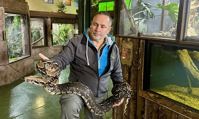 Exotic pet chaos: Ireland's dangerous animal loophole