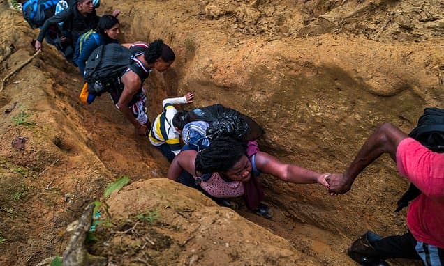 Migrants Face Jaguars, Gangs in Darién Gap Peril