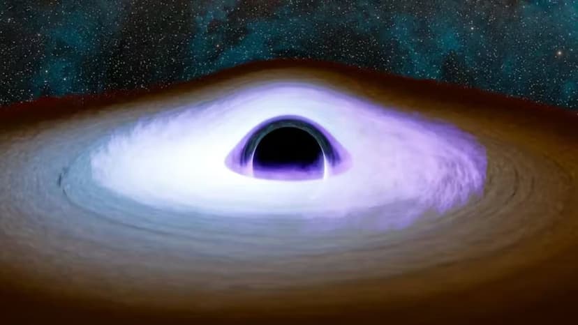 Universe's Dark Matter: Black Holes from Another Reality?
