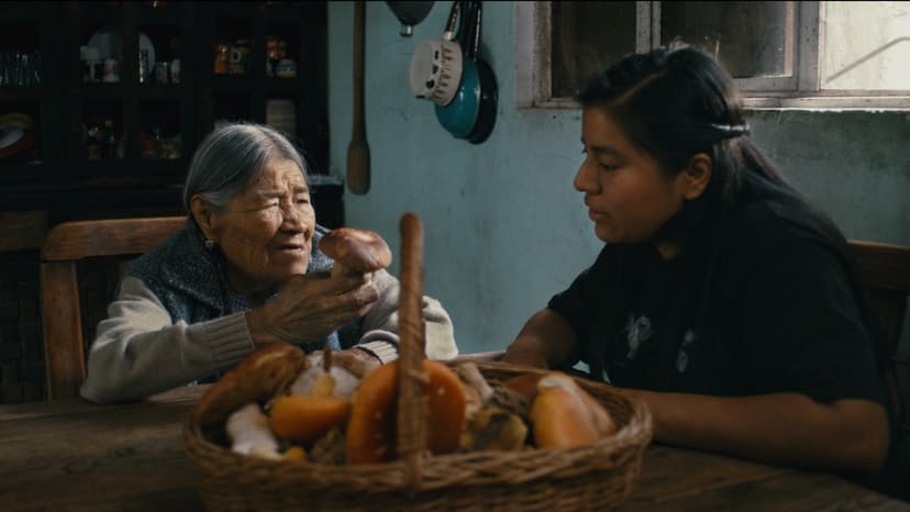 Indigenous Wisdom Meets Science in New Film