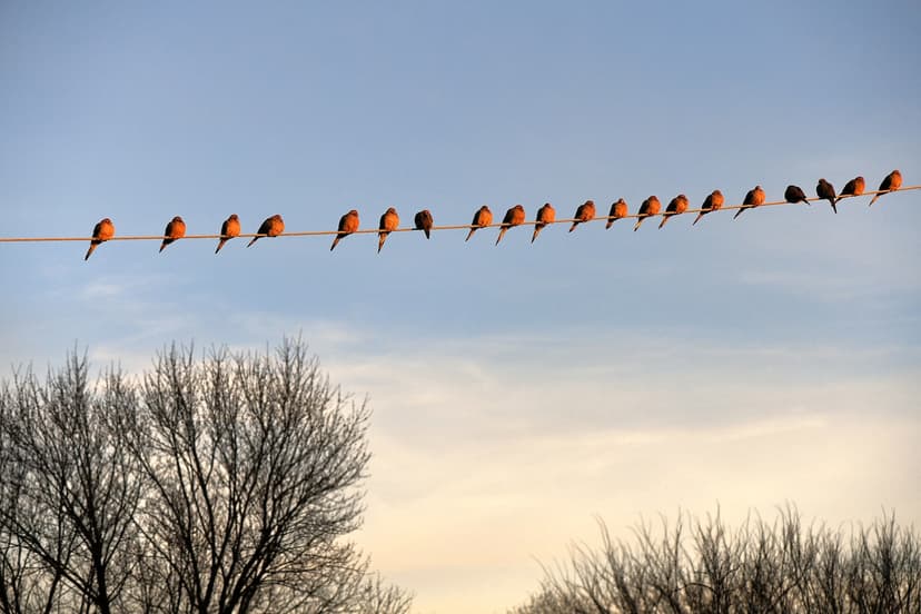 Stormy Night Ahead: Wind Gusts Up to 50 MPH!