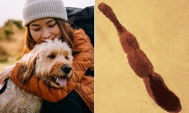 Deadly Tapeworm Spreading Across US