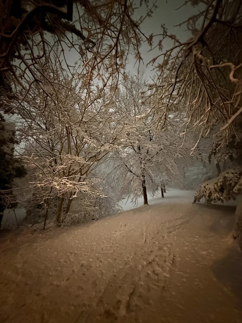 Delaware Buried Under Blizzard: 50,000 Homes Dark