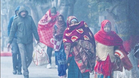Delhi Freezes: 3-Year Low as Cold Wave Grips Capital
