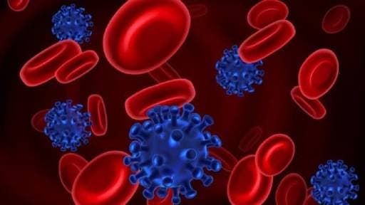 Delhi's Grim Toll: 10,500+ Die of Septicaemia in 2024